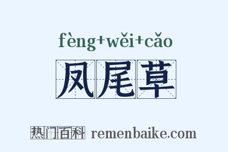凤尾草是什么意思的图片